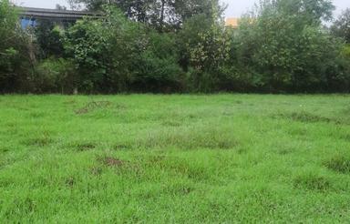 فروش زمین کشاورزی 12000 متر در تیل پرده سر