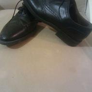 معاوضه کفتر نر با کفش مردانه تمام چرم