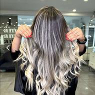 خدمات رنگ و لایت