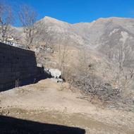 فروش زمین مسکونی 190متری‌ ییلاقی،کو