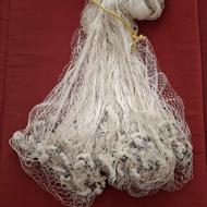 تورماهیگیری یا سالیک