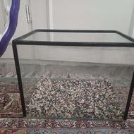 آکواریوم ماهیران شیشه خم