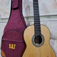 گیتار Aria AK-30 ژاپنی حرفه ای