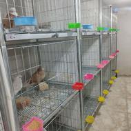 قفس تاشو پرندگان زینتی و حیوانات خانگی