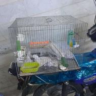 قفس خالی سهره قناری