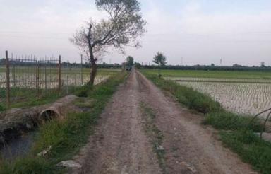 2000 متر زمین کشاورزی در کمربندی تالش