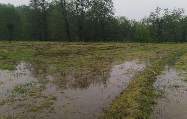 3000 متر زمین شالیزاری