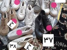 تعدادی کتونی در شیپور