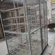 گنجه تمام طور قوی برای کفتر بازی