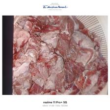 تیکه گوشت گوساله سالم غذای سگ