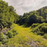 زمین ییلاقی