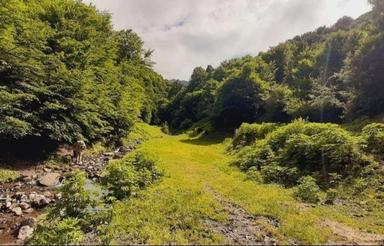 زمین ییلاقی