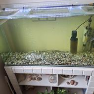 آکواریوم شیشه خم