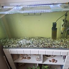 آکواریوم شیشه خم