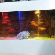 ماهی اکواریوم ولوازم