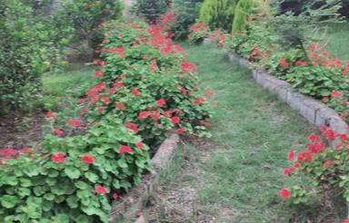 زمین 500متری بر جاده اصلی روبروی سایت پرواز سرکت