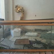 آکواریوم خارجی شیشه خم 120*80 سالم