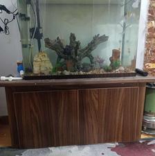 آکواریوم پیش ساخته به همراه میز