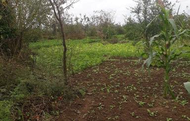 فروش زمین دارای سند تک برگ مسکونی