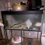 فروش اکواریم