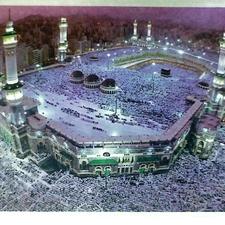 فیش عمره مفرده