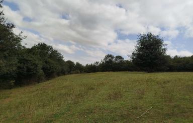 فروش زمین کشاورزی 10000 متر در دودانگه با مجوز مرغداری