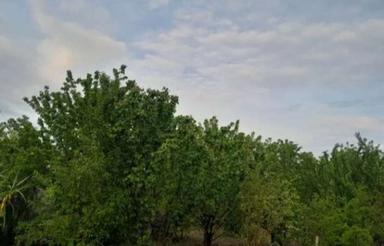 باغ عالی دیوارکشی درفلاورجان اطراف