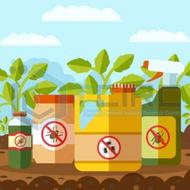 کود گیاهی *تضمینی*