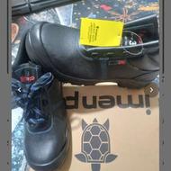 کفش کارنوسالم