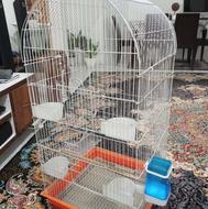 قفس بزرگ،برای انواع پرنده