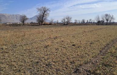 700 متر زمین در مبارکه سرارود