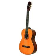 گیتار کلاسیک متاع پور matapoor مدل مت دو Mat2