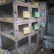 قفس پرنده کبوتر یا غیره