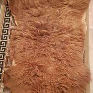 چرم طبیعی گوسفند