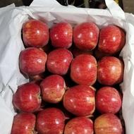 سرکارگرهستم کارگرلازم دارم برای سردخانه