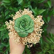 استند اسم نماد سال