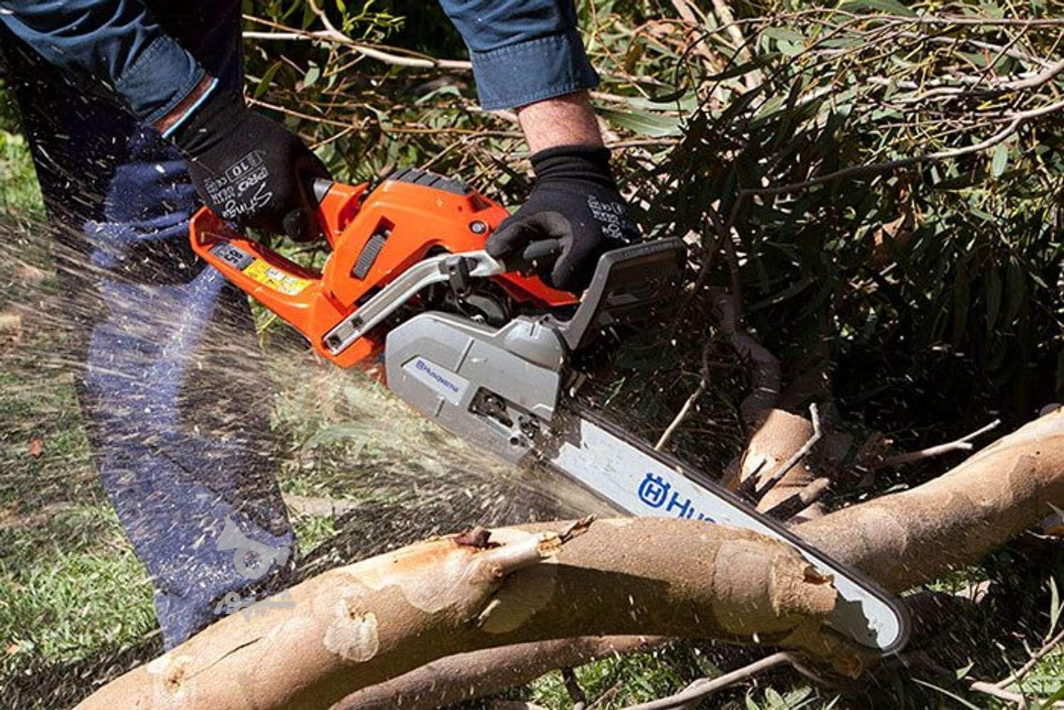 قطع درخت و خرید چوب درختان باغی