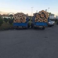 قطع درخت و خرید چوب درختان باغی
