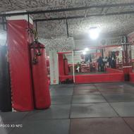 دوره لاغری و کاهش وزن شیراز