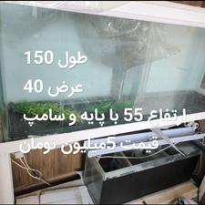 آکواریوم ده میل شیشه خم 150 سانتی