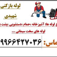 میلاد شهیدی