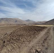 زمین کشاورزی 6 هزار متر ،صحنه