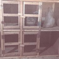 قفس کبوتر جفت کار