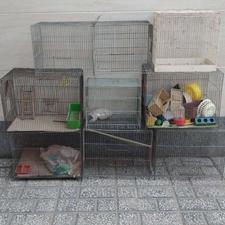 9عددقفس پرنده