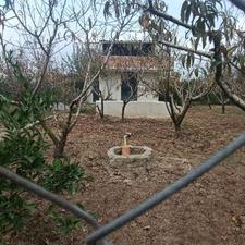 خونه باغ نقلی ساری،همت آباد