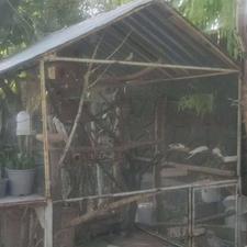 انواع قفس پرنده