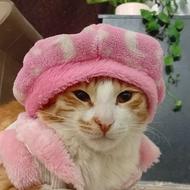 بچه گربه پشمالو