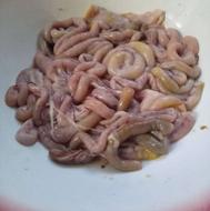 روده مرغ غذای سگ گربه اردک ماهی