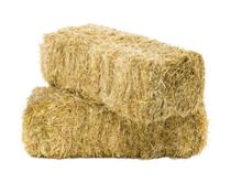 خریدار کلش گندم هستم چکی 5ماهه کیلویی 19 در شیپور