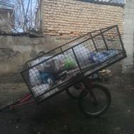 گاری خیلی خوب